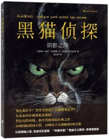 黑猫侦探:阴影之间