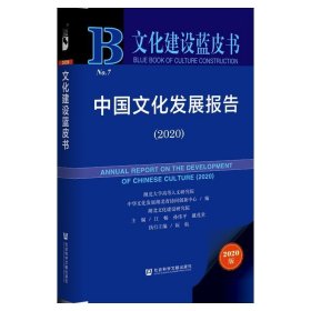 文化建设蓝皮书：中国文化发展报告（2020）