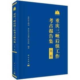 重庆三峡后续工作考古报告集