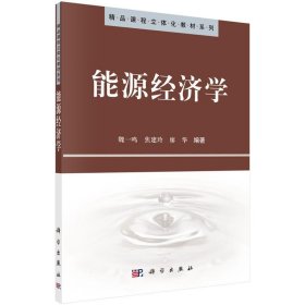 精品课程立体化教材系列：能源经济学