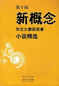 第十届新概念作文大赛获奖者小说精选