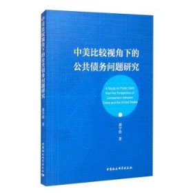 中美比较视角下的公共债务问题研究