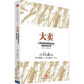 大卖:从置业顾问到营销总监进阶实战手册