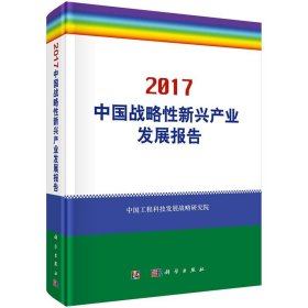 中国战略性新兴产业发展报告2017