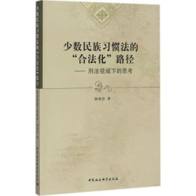 少数民族习惯法的“合法化”路径：刑法视域下的思考