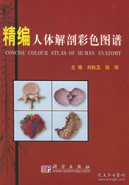 精编人体解剖彩色图谱
