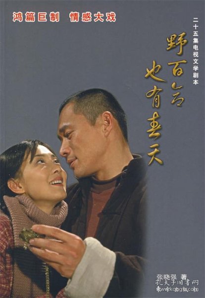 野百合也有春天（25集电视文学剧本）