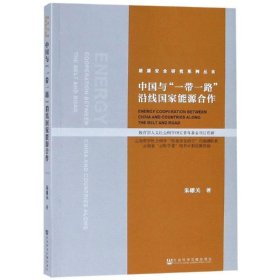 中国与“一带一路”沿线国家能源合作