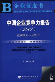 中国企业竞争力报告（2007）：盈利能力与竞争力