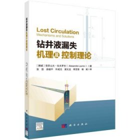 钻井液漏失机理及控制理论