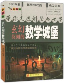 彩图版.带你走进科学的世界--玄幻莫测的数学城堡（四色印刷）