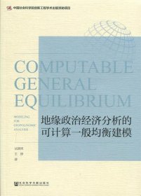 地缘政治经济分析的可计算一般均衡建模