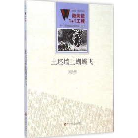 土坯墻上蝴蝶飛