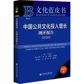 文化蓝皮书：中国公共文化投入增长测评报告（2020）