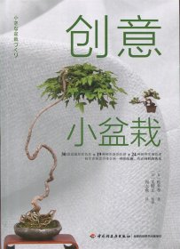 创意小盆栽