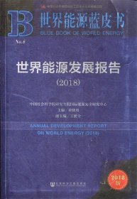 世界能源发展报告（2018）