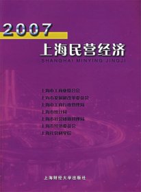 2007上海民营经济