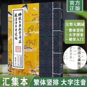 正版无量寿经原文注音版 繁体竖排大字拼音版 佛说大乘无量寿经拼音版 佛学入门诵读本 中华经典诵读教材 团结出版社畅销书