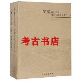 宁夏明代长城河东长城调查报告（套装上下册）