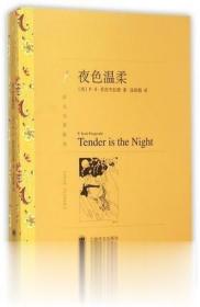 夜色温柔 菲茨杰拉德 上海译文出版社