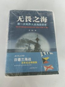 无畏之海：第一次世界大战海战全史