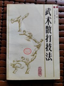 武术散打技法