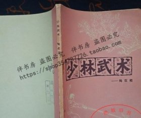 原版旧书 少林武术梅花枪 传统兵器武功套路梅花枪图解动作练习