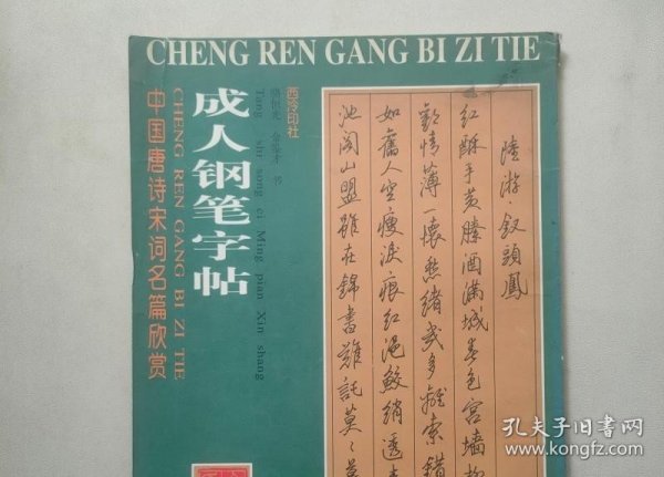 中国唐诗宋词名篇欣赏：成人钢笔字帖