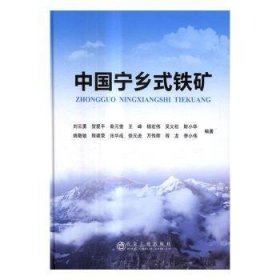 中国宁乡式铁矿 刘云勇 冶金工业出版社
