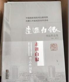 走进白银书法作品集 【未拆封】 /沈鹏工作室成员 中国国家画院书法篆刻院