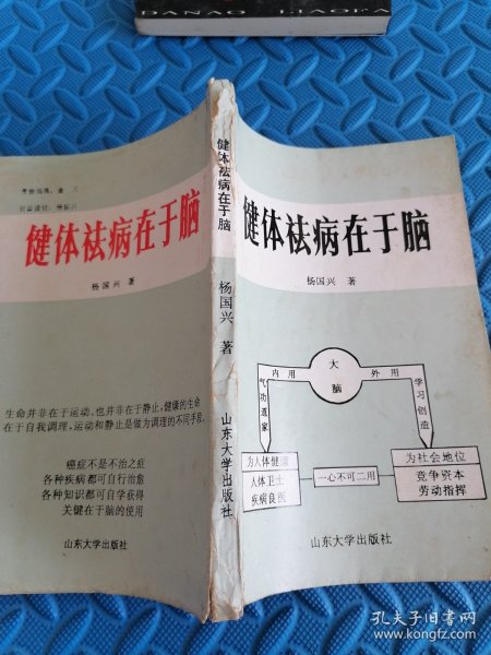 深入腹地：掌握腹部治病密码