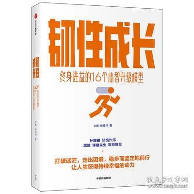 韧性成长：终身进益的16个心智升级模型文娅仲佳伟著