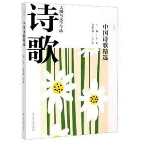 2020中国诗歌精选  王蒙主编 23年坚守文学年选