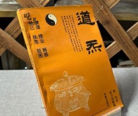 原版旧书籍 道炁 陈伟著 华夏出版社1994年一版一印 健康养生