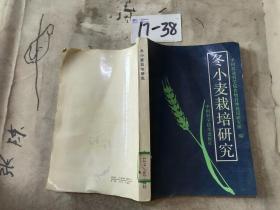 冬小麦栽培研究