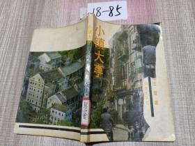 小镇大亨