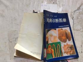 鸡病诊断图册