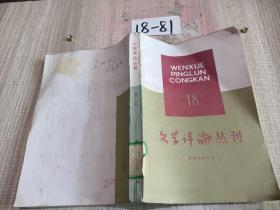 文学评论丛刊（18）