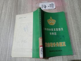 我的职务是国王