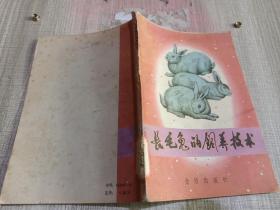 長(zhǎng)毛兔的飼養(yǎng)技術(shù)