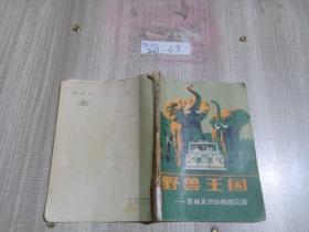 野獸王國——東非天然動(dòng)物園見聞