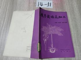 魔芋栽培及加工