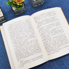 罪与罚陀思妥耶夫斯基原著正版完整无删减中文全译本俄国世界名著心理小说杰作 探讨人性深层次的善与恶 外国文学小说罗翔老师推荐