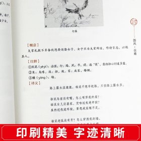 诗经全集原著完整版 插图版中小学生初中生高中生成人无删减305首诗经楚辞详解版拼音注析注音 译注解析鉴赏古诗词诠译书籍正版