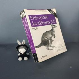 Enterprise JavaBeans 3.0中文版