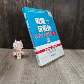 假账与反假账实务与案例大全