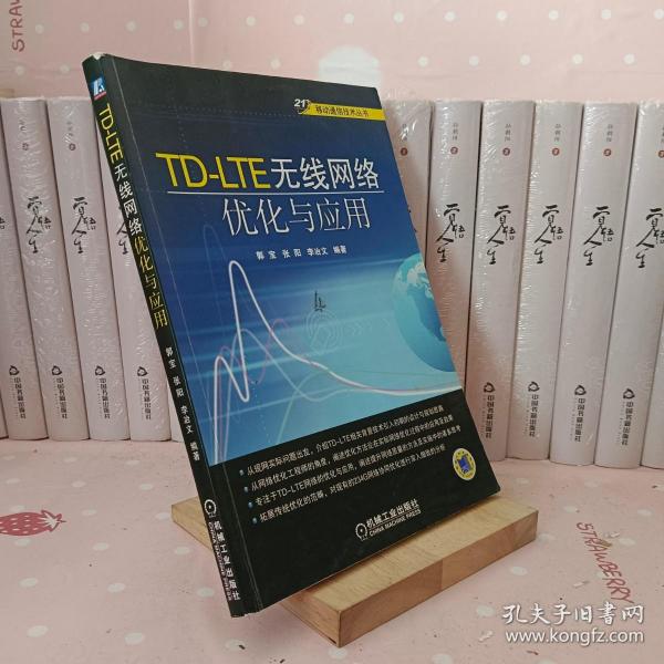 移动通信技术丛书：TD-LTE无线网络优化与应用