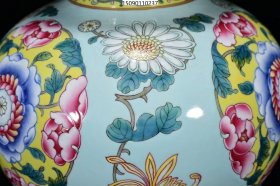 清乾隆年粉彩花卉纹葫芦31*20m