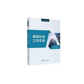 社会工作实务丛书：高级社会工作实务