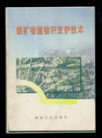煤矿巷道锚杆支护技术
